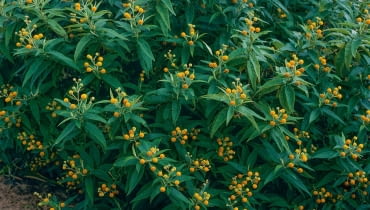 n/?`t`5We<3S\x}4;k1XU{rZk&_lTrsrsv6&fd:w