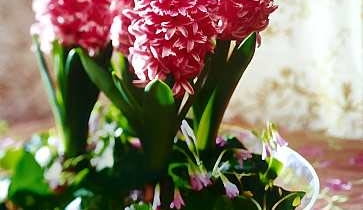 DO JEDNORAZOWEJ PUBLIKACJI