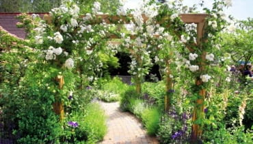 Ogród z wystawy Chelsea Flower Show 2010 26.05.2010 LONDYN MIEDZYNARODOWA WYSTAWA OGRODOW CHELSEA FLOWER SHOW