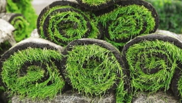 Rolki trawy Rolki trawy