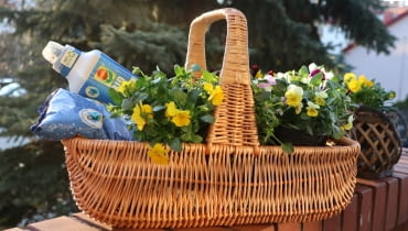 COMPO BIO AQUA DEPOT – rewolucja w gospodarowaniu wodą w uprawie roślin