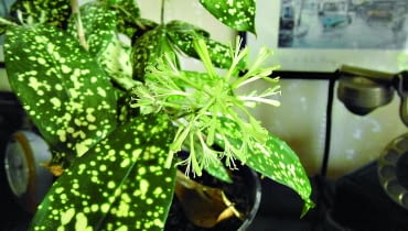 Fot.: Rafał Rzekiecki