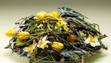 Gotowa kompozycja kwiatowa z narcyzami 30.04.2009 WARSZAWA