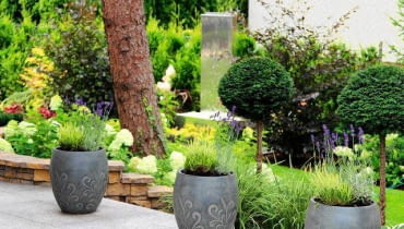 s FOT. GARDENARIUM