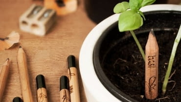 Sprout Pencils, zioła z ołówka