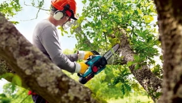 przycinanie drzew,ogród,drzewa,w ogrodzie,cięcie drzew