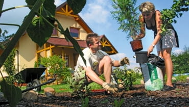 Większość drzew i krzewów lepiej sadzić jesienią, gdy okazy liściaste zrzucają liście, a iglaki kończą wzrost. Roślinom sadzonym jesienią mniej grozi susza, niż tym sadzonym wiosną. Zdążą też przygotować się do zimy. sadzenie drzew, sadzenie roślin