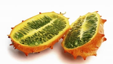 Balsamka tworzy sporo kwiatów męskich i kilka żeńskichi. Owoce bez miąższu mogą służyć jako miseczki do sałatek