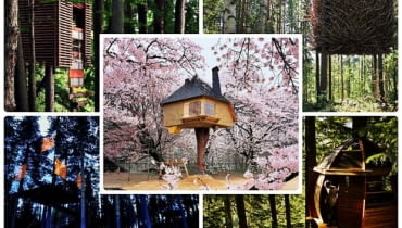 Najpiękniejsze domki na drzewach TOP 5 domki na drzewach, projekty