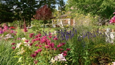 Imponująca rabata przed domem, a na niej urokliwe pysznogłówki, kopry włoskie 'Bronze', przetaczniki kłosowe 'Christa' i lilie orientalne to dopiero zapowiedź bogactwa tutejszej roślinności. Imponująca rabata przed domem, a na niej urokliwe pysznogłówki, kopry włoskie 'Bronze', przetaczniki kłosowe 'Christa' i lilie orientalne to dopiero zapowiedź bogactwa tutejszej roślinności.