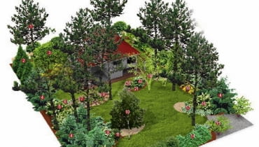 PLAN NASADZEŃ 1. sosna pospolita 2.żywotnik olbrzymi 3.magnolia 'Alexandrina' 4.choina kanadyjska 5.kalina koralowa 6.hortensja kosmata 7.różanecznik 8.hosta Siebolda 9. dereń biały 'Elegantissima' 10.brzoza pożyteczna 'Doorenbos' 11.laurowiśnia wschodnia 12.hortensja bukietowa 'Kyushu' 13.ostrokrzew kolczasty 14.dereń biały 'Sibirica' 15.żywotnikowiec japoński 16.choina 'Jeddeloh' 17.trzmielina Fortune'a 'Emerald Gaiety' 18.tawuła japońska 'Goldmound' 19.czeremcha pospolita 20.różanecznik 21.runianka japońska 22.hortensja bukietowa 'Grandiflora' PLAN NASADZEŃ 1. sosna pospolita 2.żywotnik olbrzymi 3.magnolia 'Alexandrina' 4.choina kanadyjska 5.kalina koralowa 6.hortensja kosmata 7.różanecznik 8.hosta Siebolda 9. dereń biały 'Elegantissima' 10.brzoza pożyteczna 'Doorenbos' 11.laurowiśnia wschodnia 12.hortensja bukietowa 'Kyushu' 13.ostrokrzew kolczasty 14.dereń biały 'Sibirica' 15.żywotnikowiec japoński 16.choina 'Jeddeloh' 17.trzmielina Fortune'a 'Emerald Gaiety' 18.tawuła japońska 'Goldmound' 19.czeremcha pospolita 20.różanecznik 21.runianka japońska 22.hortensja bukietowa 'Grandiflora'