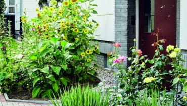 Laureaci Nagrody Prezydenckiej 33. Konkursu Warszawa w Kwiatach i Zieleni, Kategoria Człowiek 1 miejsce: Zygmunt Gasiuk, ul. Pruchnika 8E Laureaci Nagrody Prezydenckiej 33. Konkursu Warszawa w Kwiatach i Zieleni, Kategoria Człowiek 1 miejsce: Zygmunt Gasiuk, ul. Pruchnika 8E