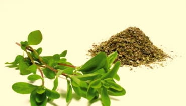 Majeranek na przejedzenie Majeranek na przejedzenie