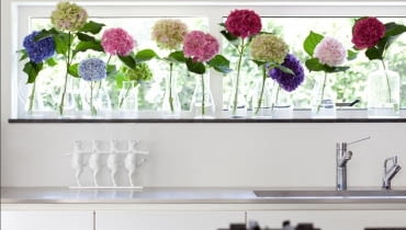 Małe, szklane wazoniki ustawione w rzędzie na parapecie, a w nich duże, pojedyncze kwiaty kolorowych hortensji. Idealna wiosenna aranżacja. kwiaty, aranżacje kwiatowe