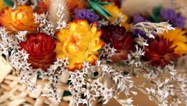 Suche bukiety Suche bukiety