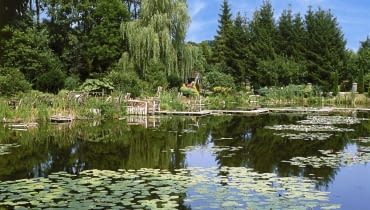 Arboretum w Bolestraszycach BOLESTRASZYCE PARK DENDROLOGICZNY ARBORETUM JEZIORKO WODA STAW ZBIORNIK WODNY LILIA WODNA GRZYBIEN BIALY NYMPHAEA ALBA ROSLINA WODNA BYLINA FOT. LILIANNA SOKOLOWSKA SLAJD MALY PUBLIKACJA OGRODY NR 9 (65) - 9.2004 SLOWA KLUCZOWE: PARKI ROSLINY WODA XNO ZDJĘCIE DO WKŁADKI: PUBLIKACJA OGRODY NR 9 (65) - CZASOPISMA