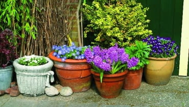 Wiosenne kwiaty balkonowe 29.04.2003 HOLANDIA WYJAZD BIURO CEBULKOWE HOLANDIA OGROD PRYWATNY MARCEL BORKUS I WIM GEURINK POJEMNIK GLINA BLACHA OCYNKOWANA WIADRO DEKORACJA ROSLINNA ROSLINY SEZONOWE BRATEK GLINA BYLINY FOT PAWEL SLOMCZYNSKI / AGENCJA GAZETA WIOSNA PUBLIKACJA KWIETNIK NR 3 (123) - 3.2005
