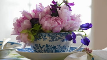 Filiżanka z kwiatami. Pomysł na prezent Pfingstrosen und lila Wicken in blauweißer Tasse SLOWA KLUCZOWE: Blume Blumen Blumenstrauß Blumensträuße Dekoration Florales Geschirr Pfingstrose Pfingstrosenstrauß Pfingstrosensträuße Päonie Päonien Sommer Tasse Tassen Wicke Wicken blau-weiss floral rosa sommerlich weiss-blau Niemand *** Local Caption *** 00095256