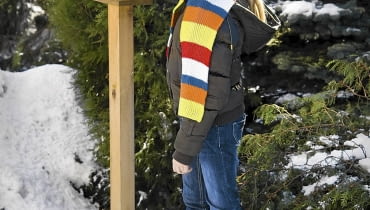 Dbajmy o Ptaki. Po obfitych opadach śniegu wysypujmy im więcej pokarmu. Dbajmy o Ptaki. Po obfitych opadach śniegu wysypujmy im więcej pokarmu.