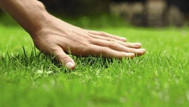 Quiz Czy wiesz jak oszczędzać w ogrodzie?