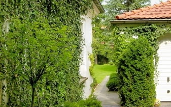 Przejście obok garażu. Wzdłuż ścian budynków posadzono pnącza, aby przy podjeździe dla samochodów było zielono. Przejście obok garażu. Wzdłuż ścian budynków posadzono pnącza, aby przy podjeździe dla samochodów było zielono.