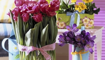 krokusy i tulipany Narzissen, Primeln, Krokus und Tulpen in Kisten und Spankorb SLOWA KLUCZOWE: Balkon Balkons Blume Blumen Blumenkiste Deco Decoration Deko Fr´hjahr Fr´hling Fr´hlingsblume Fr´hlingsblumen Fr´hlingsdekoration fr´hlingshaft Holzkiste Holzkisten Kiste Kisten Krokus Krokusse Narzisse Narzissen Niemand Pflanzen Primel Primeln Spankorb Spank^rbe Topf Topfblume Topfblumen Topfpflanzen Vorfr´hling Hochformat