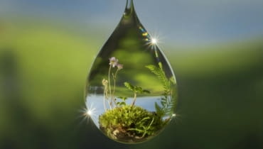 „Zieleń, natura, architektura” „Zieleń, natura, architektura”