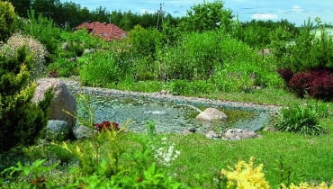 Takie ogrodowe oczko wodne może być świetnym odbiornikiem ścieków z przydomowej oczyszczalni 28.06.2005 MAGDALENKA BASEN STAW KAPIELOWY Z NATURALNA OCZYSZCZALNIA SCIEKOW FOT. WOJCIECH SURDZIEL / AGENCJA GAZETA