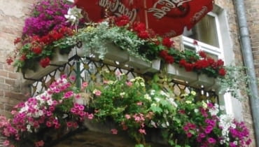 Henryka Zglejszewska, ul. Konopacka 12, Praga-Północ.