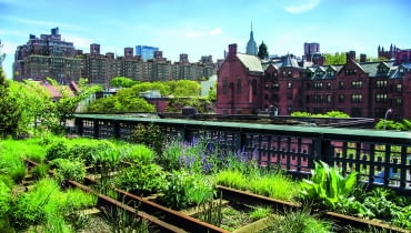 Nieczynne tory stały się rabatami pełnymi bylin i niskich traw tworzących naturalistyczne kompozycje.