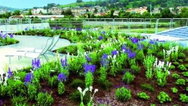 Przykład łączenia nawierzchni: ziemi, żwiru na ścieżkach komunikacyjnych oraz betonowych płytek na tarasie zielony dach