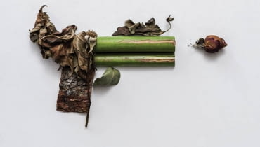 Zielona broń Soni Rentsch