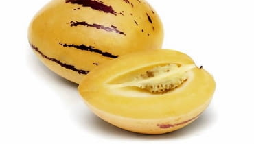 Pepino (Solanum muricatum) - jedna z najstarszych roślin uprawnych na świecie Pepino (Solanum muricatum) - jedna z najstarszych roślin uprawnych na świecie