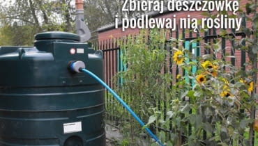 Nie musisz wydawać pieniędzy na wodę do podlewania ogrodu - wystarczy, że zainwestujesz w zbiornik na deszczówkę
