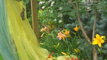 Zasłony powiewające w ogrodzie stanowią delikatną przegrodę wydzielającą przestrzeń, a dodatkowo przyciągają wzrok kolorami i dynamiką Zasłony powiewające w ogrodzie stanowią delikatną przegrodę wydzielającą przestrzeń, a dodatkowo przyciągają wzrok kolorami i dynamiką