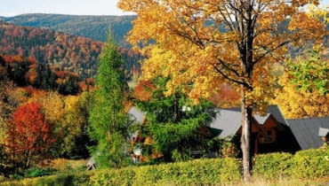 Jesień w ogrodzie- na co zwrócić uwagę? Jak dbać o ogród jesienią?