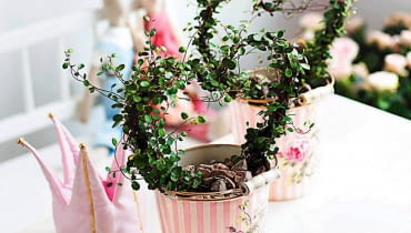 Coś dla romantyków; druciana podpórka w kształcie serca opleciona wiotką mulenbekią. UWAGA ! DO JEDNORAZOWEJ PUBLIKACJI WNETRZA , ROSLINA DONICZKOWA - MULENBEKIA OPLECIONA W DRUCIANA PODPORKE W KSZTALCIE SERCA FOT. FLORA DANIA PUBLIKACJA KWIETNIK NR 8 (188) - 8 2010 SLOWA KLUCZOWE: WNETRZE ROSLINA ZDJĘCIE DO WKŁADKI: PUBLIKACJA KWIETNIK NR 8 (188) - CZASOPISMA