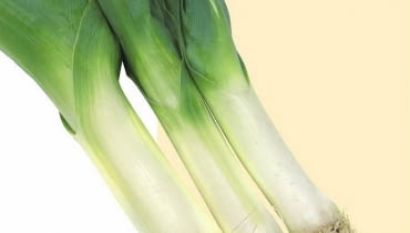 Pory można przechować do wiosny na zagonkach, ale trzeba je osłonić przed mrozem Pory można przechować do wiosny na zagonkach, ale trzeba je osłonić przed mrozem