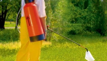 Ręczne opryskiwacze wyposażone w specjalne końcówki pozwalają precyzyjnie podać preparat tylko tym roślinom, które go potrzebują środki ochrony roślin,środki chemiczne,pryskanie roślin OGROD CHWASTY NARZEDZIA OPRYSKIWACZ ORION Z PREPARATEM CHWASTOBOJCZYM FOT. KWAZAR PUBLIKACJA KWIETNIK NR 6 (162) - 6 2008