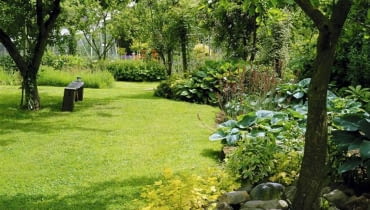 Bazą tego ogrodu są drzewa owocowe - rabaty ozdobne założono tu poza zasięgiem koron