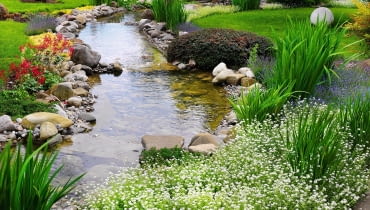 PODŁOŻE przy brzegu strumienia jest stale wilgotne. Dobrze się tu czują rośliny lubiące wilgoć. PODŁOŻE przy brzegu strumienia jest stale wilgotne. Dobrze się tu czują rośliny lubiące wilgoć.