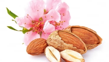 Migdały to pestkowce migdałowca pospolitego (Prunus dulcis). Zawierają wyjątkowo dużo witaminy E (opóźnia proces starzenia, nazywana więc jest witaminą młodości). Mają też sporo witaminy B2 (ważnej dla błon śluzowych i skóry), B3 oraz wapnia. Najwięcej antyoksydantów jest w ich skórce, lepiej więc jeść migdały nieobrane.