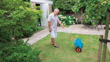 Semmick Photo shutterstock