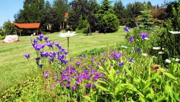 Grupy drzew i pasma kolorowych krzewów kontrastują tu z otwartą przestrzenią Grupy drzew i pasma kolorowych krzewów kontrastują tu z otwartą przestrzenią