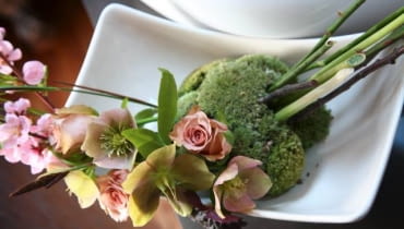 Ciemierniki - uroda przedwiośnia 24.04.2009 WARSZAWA