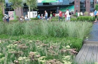 Wystawa Zieleń To Życie Wystawa Zieleń To Życie