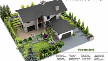 Plan nasadzeń Plan nasadzeń