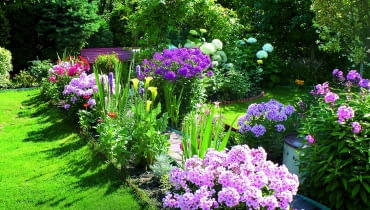 Pełnia lata to najpiękniejszy czas w moim ogrodzie - rabaty dosłownie toną w kwiatach.