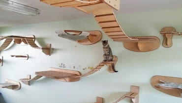 Niemiecki projektant Stefan Hofmann zamienił swoje mieszkanie w plac zabaw dla kota imieniem Mowgli. mieszkanie dla kota, koci raj, zabawki dla kota, kot w mieszkaniu, gadżety dla kota