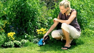 Akumulatorowe nożyce ClassiCut do przycinania brzegów trawnika. Gardena, 245 zł Akumulatorowe nożyce ClassiCut do przycinania brzegów trawnika. Gardena, 245 zł